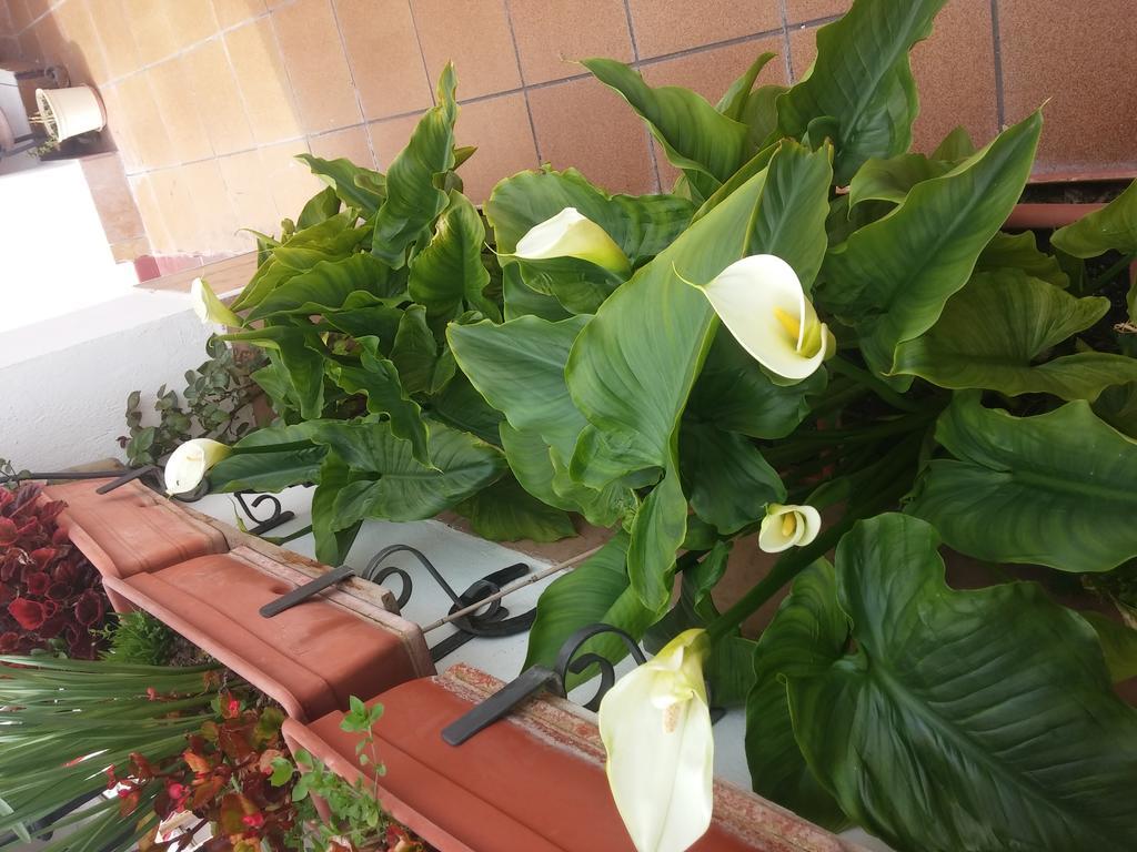 Balcon Del Velillos-"Rincon De Marcelo" Tozar Zewnętrze zdjęcie